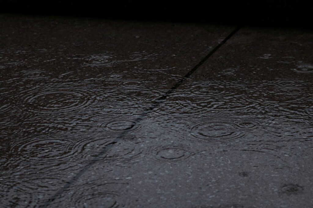 damp and mould control